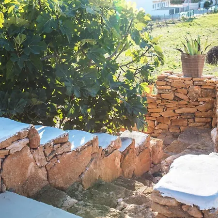 La Samia Torricella (Taranto)